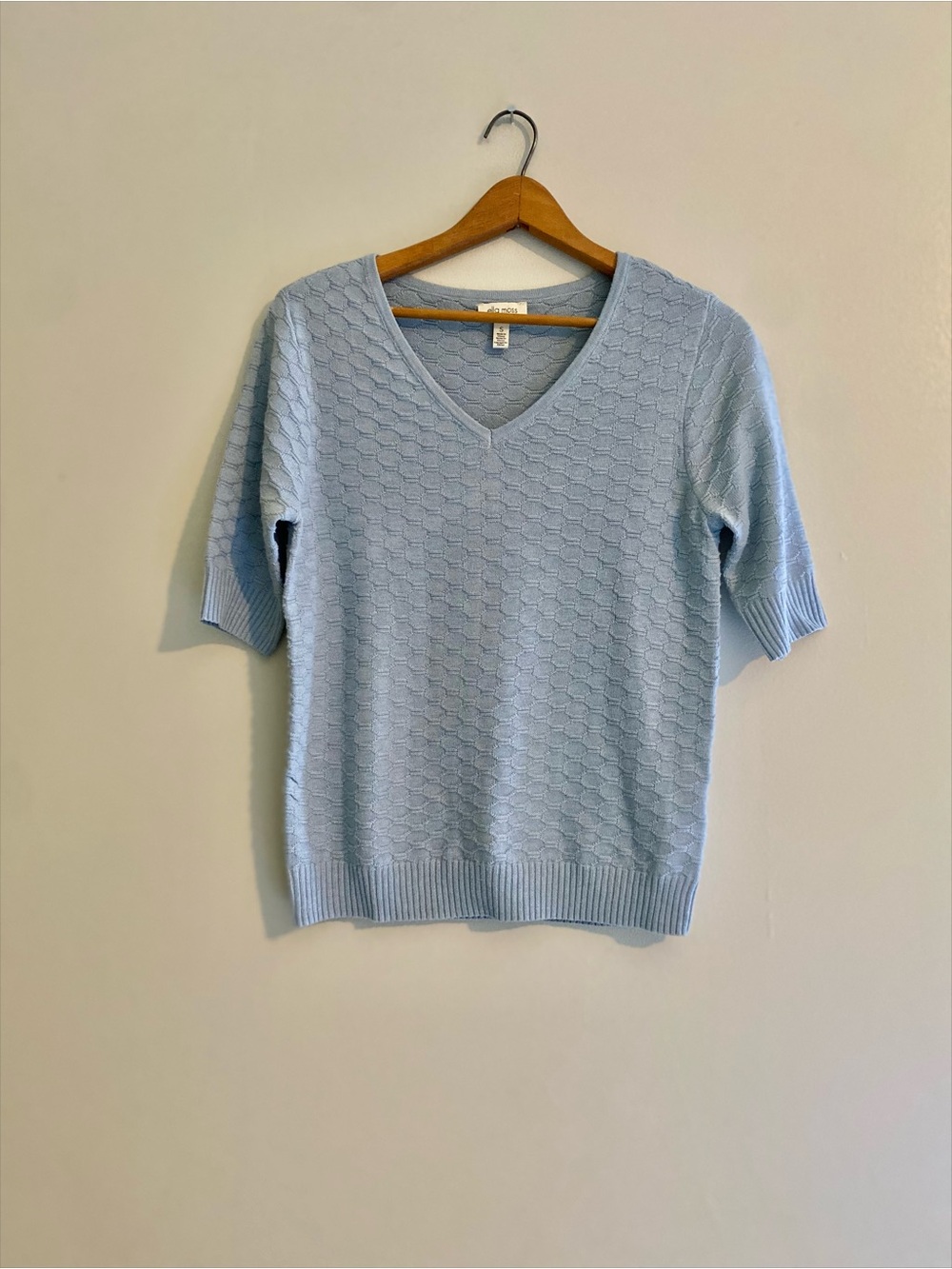 Ella Moss Powder Blue V-Neck Short Sleeve Sweater